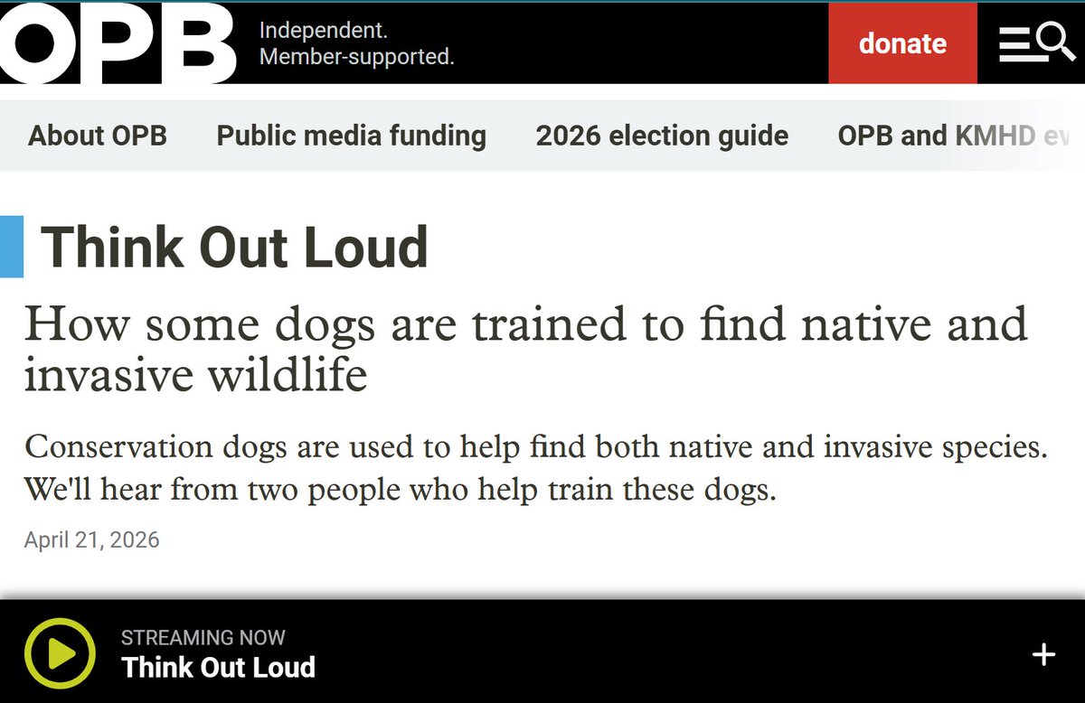 Rogue Detection Teams tweet media