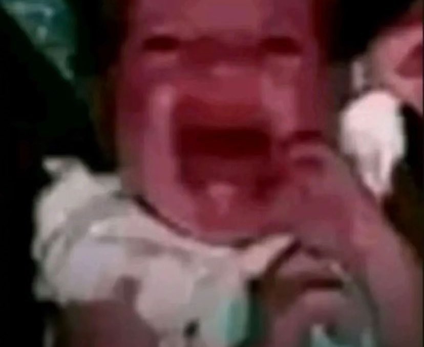 lanna VAI VER O GUNS tweet media