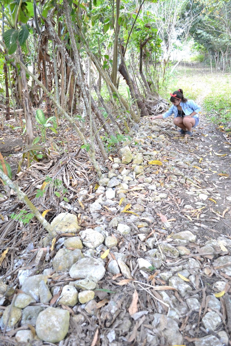 BohemiaCuba's tweet image. #Gente 
José René Alfonso  tiene una sonrisa en los labios cuando te muestra una propiedad donde más de 600 especies crean un ambiente divino, aunque prefieran llamarla finca agroecológica, ubicada en el antiguo Cordón de La Habana. 
Conócelo en #Bohemia 
l1nq.com/2s8id8c
