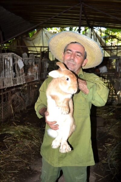BohemiaCuba's tweet image. #Gente 
José René Alfonso  tiene una sonrisa en los labios cuando te muestra una propiedad donde más de 600 especies crean un ambiente divino, aunque prefieran llamarla finca agroecológica, ubicada en el antiguo Cordón de La Habana. 
Conócelo en #Bohemia 
l1nq.com/2s8id8c