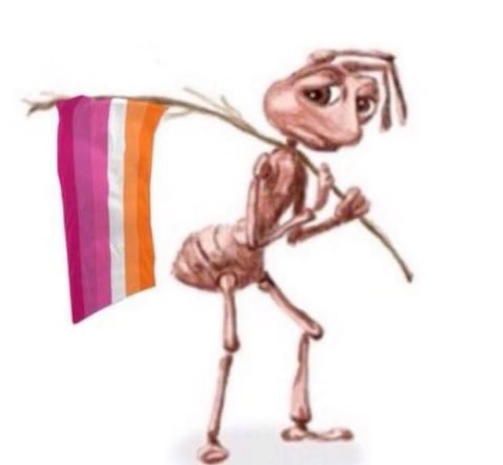 cel⁸¹ tweet media