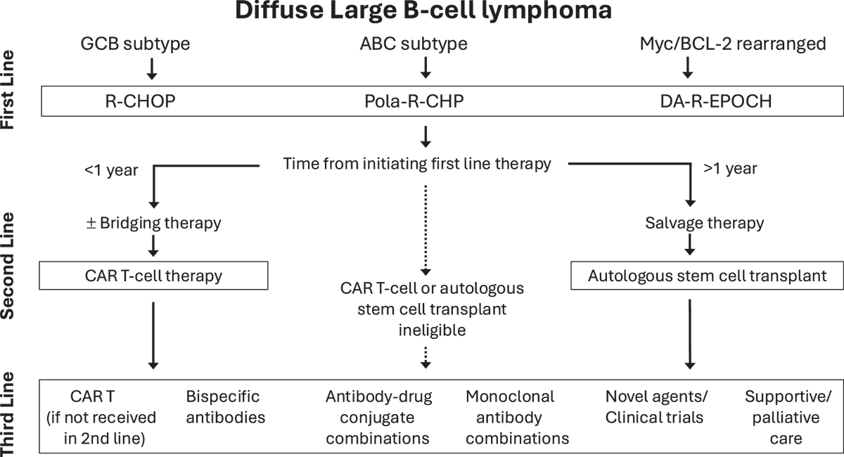 smbenlazar's tweet photo. Current treatment algorithm: diffuse large B cell lymphoma  https://t.co/h0IUjVtpSK #lymsm https://t.co/iA6NFlHtuV