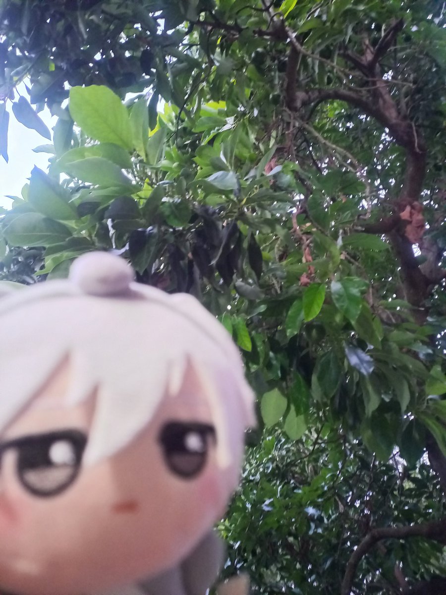 ##maria • fentanui user tweet media