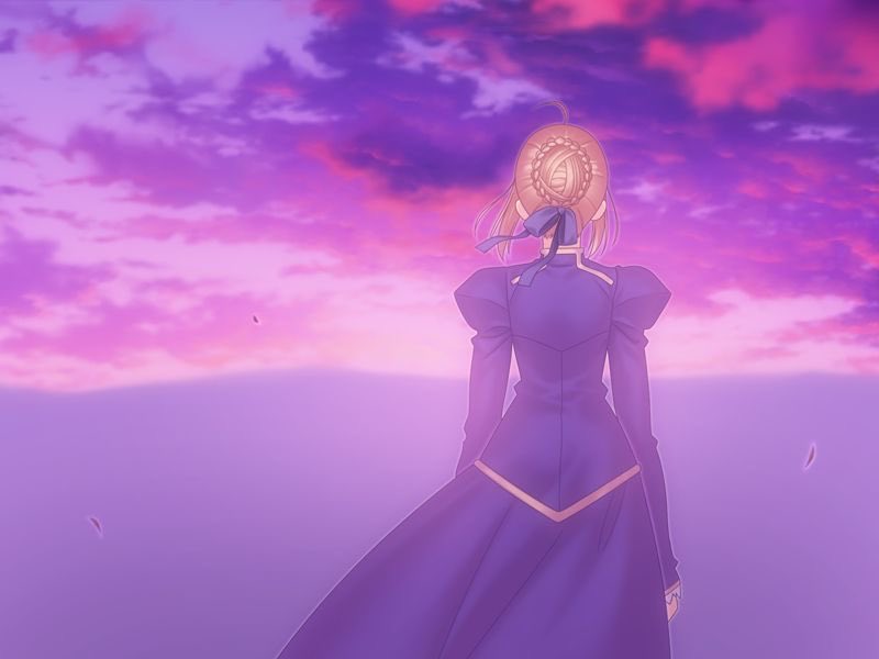 Daily Saber 🦁 tweet media