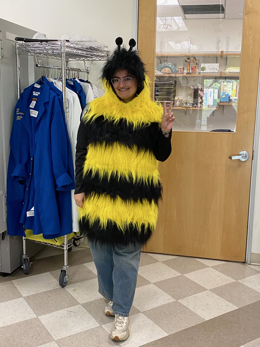 CIBER: Center for Integrative Bee Research tweet media