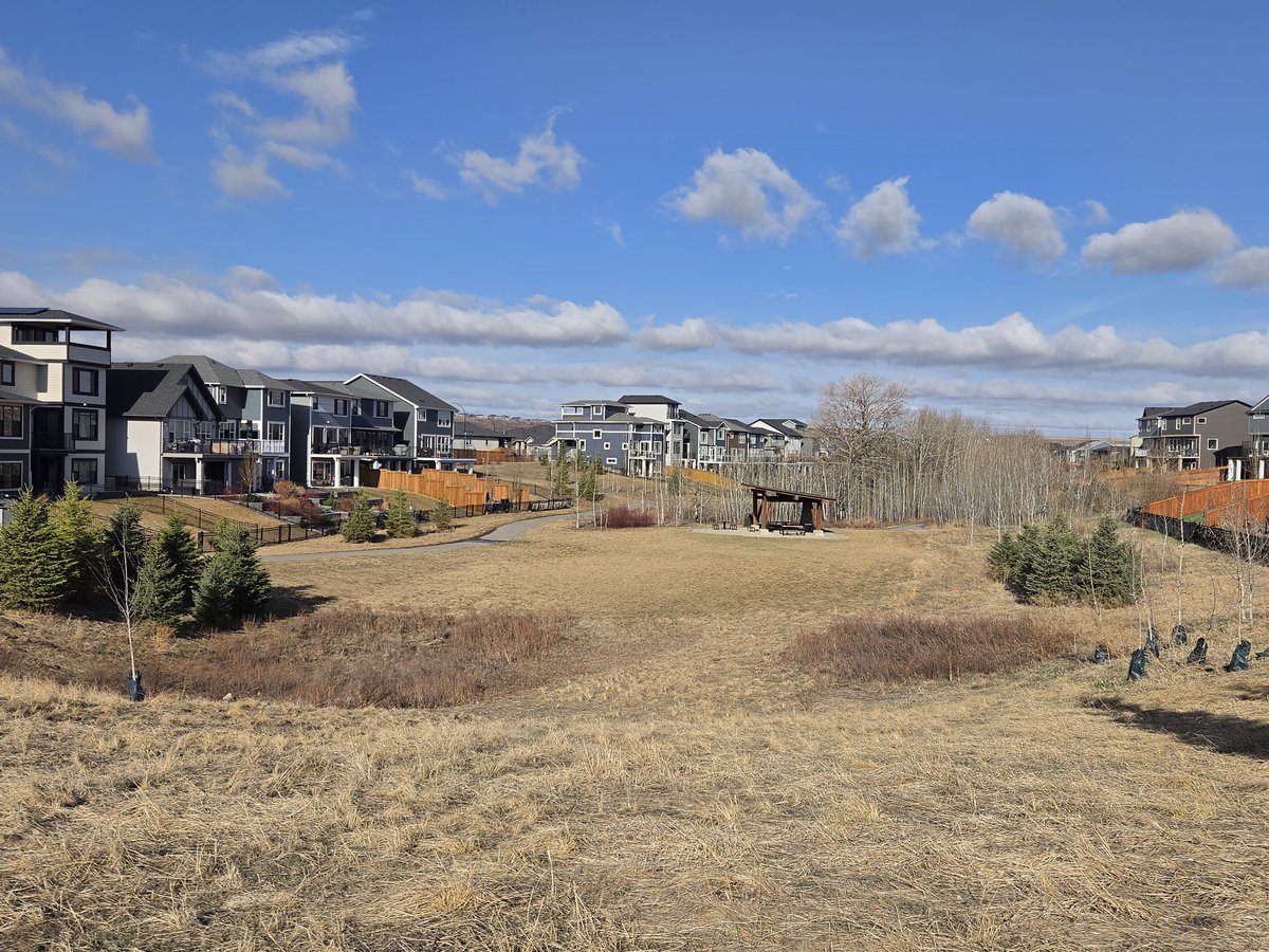 WalkingCalgary's tweet image. Here’s a glimpse of the sights we enjoyed during today’s walk in #Cranston

#Calgary  #yyc