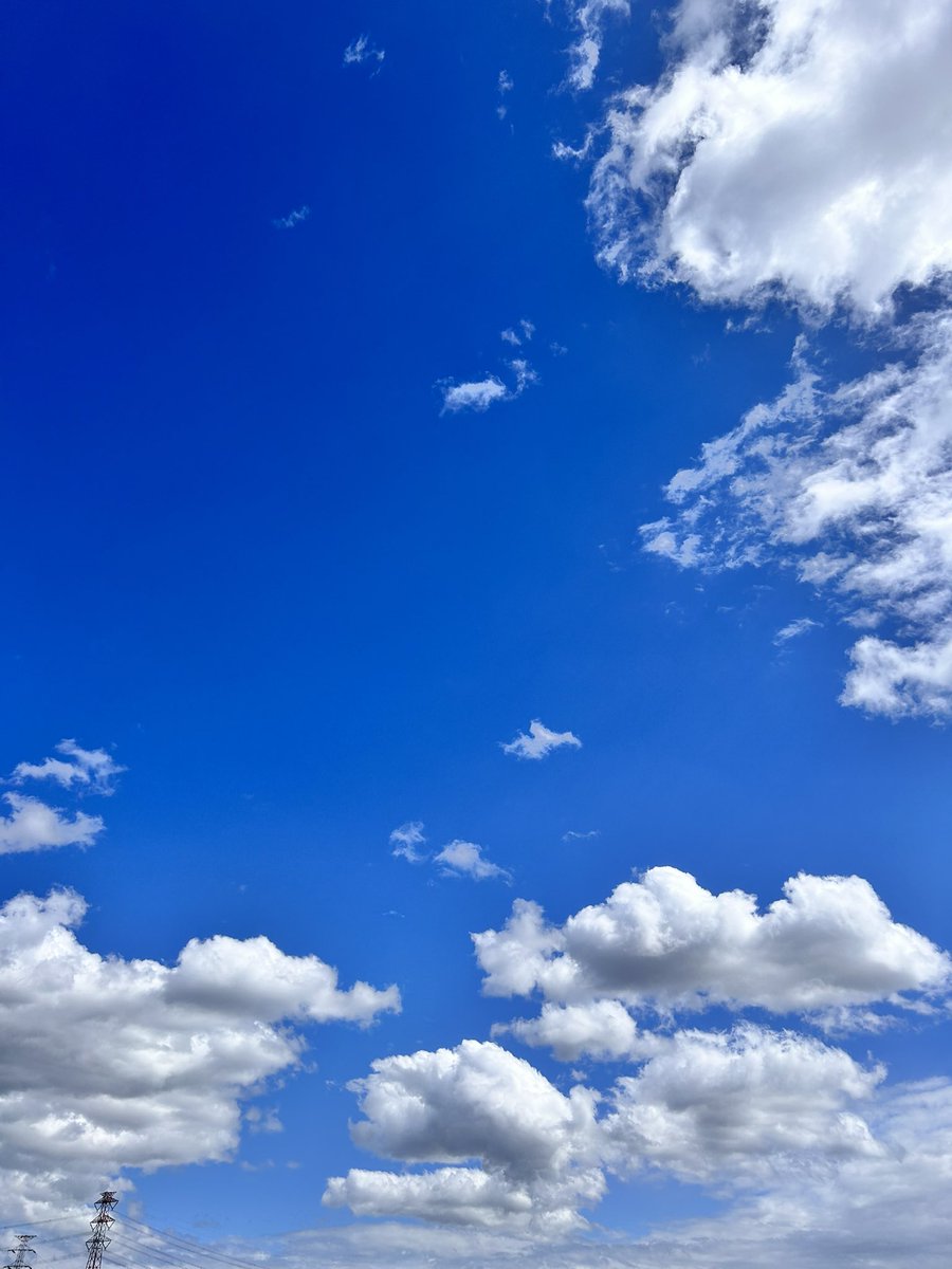 おはようございます。
あまりXにも伺えずにおりますが…いいねくださる皆様、ありがとうございます。御礼を。
それー、良い日に。