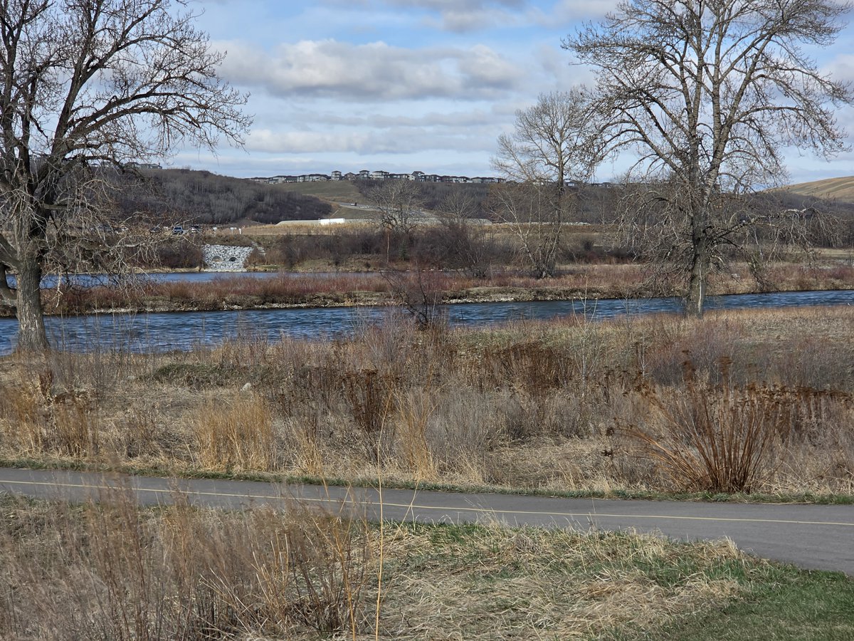 WalkingCalgary's tweet image. Here’s a glimpse of the sights we enjoyed during today’s walk in #Cranston

#Calgary  #yyc