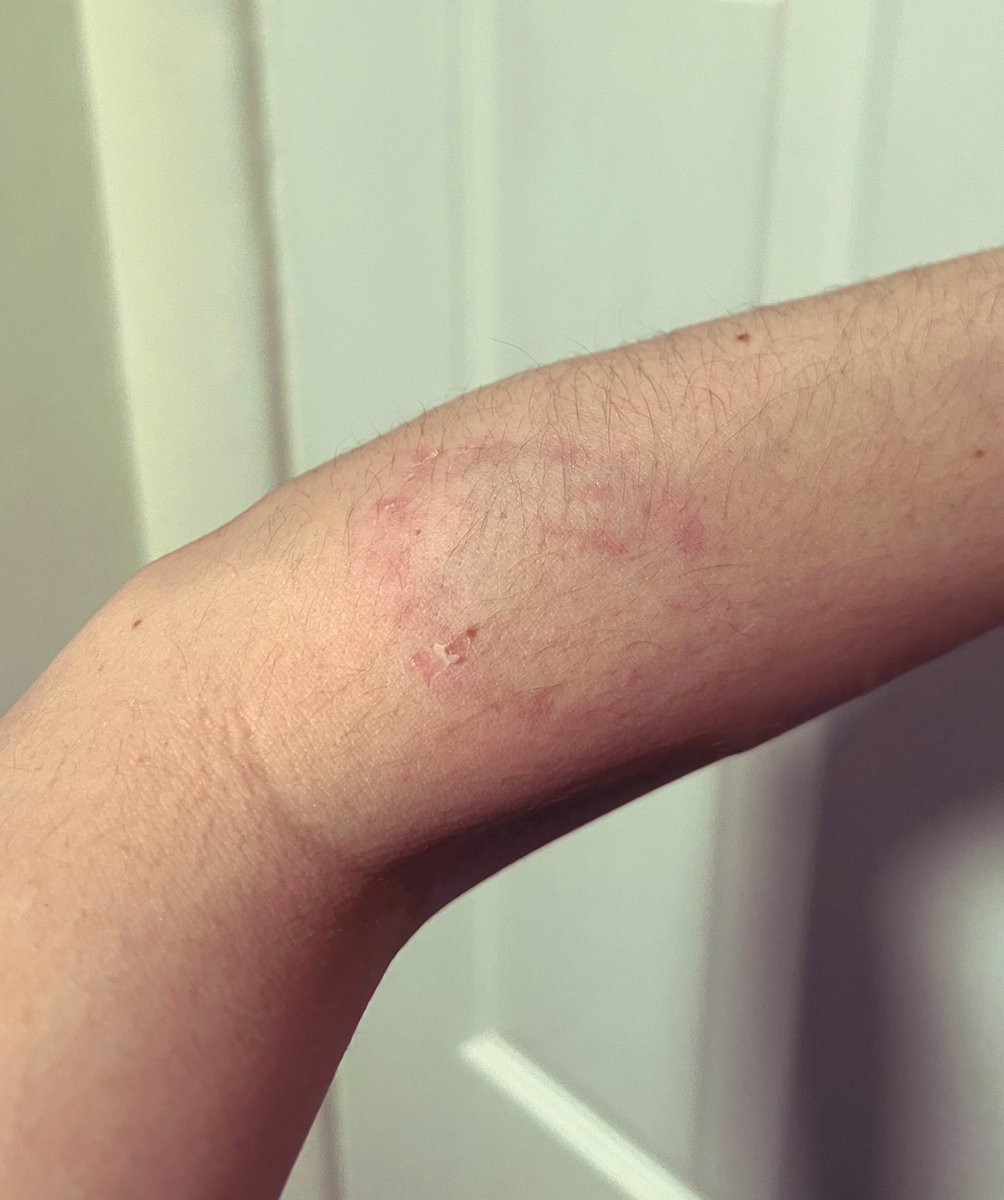 NomadicCoyote tweet media