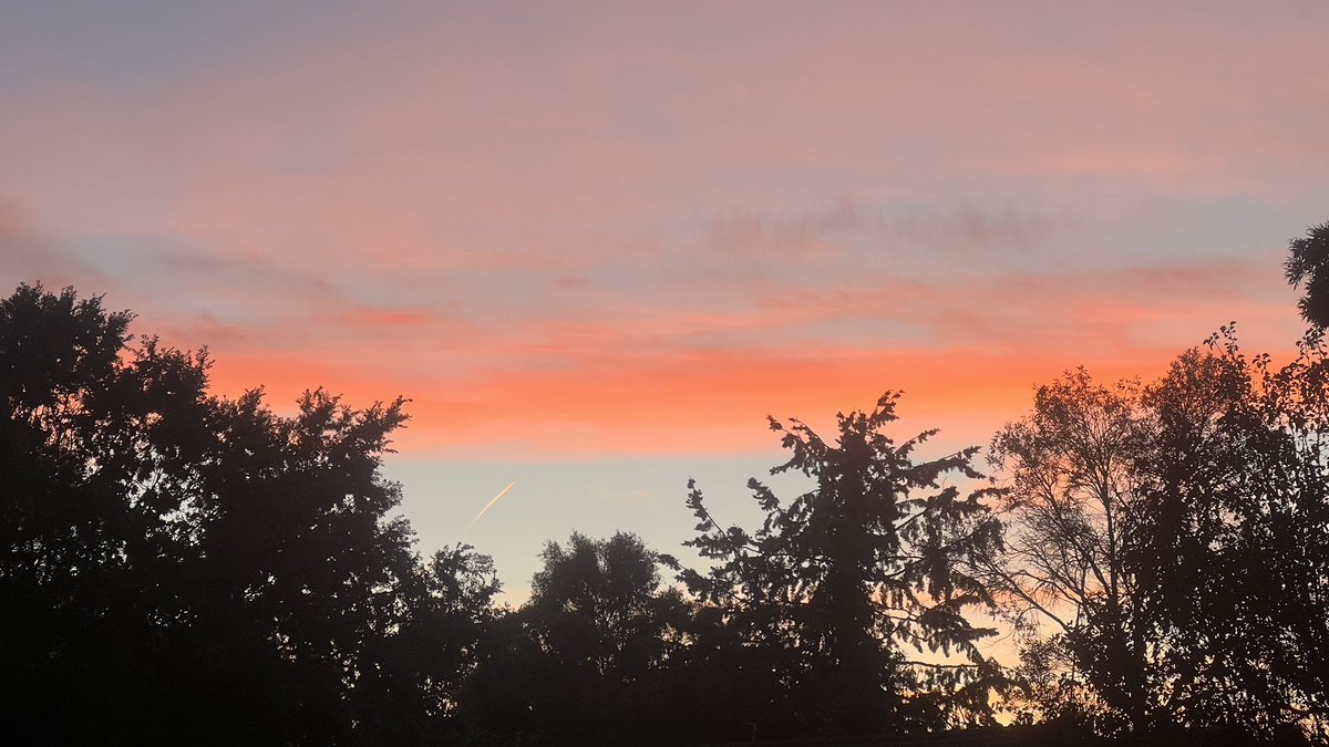 wapple15's tweet image. Good morning #Canberra 🌤️ #SureHappyItsThursday 😎