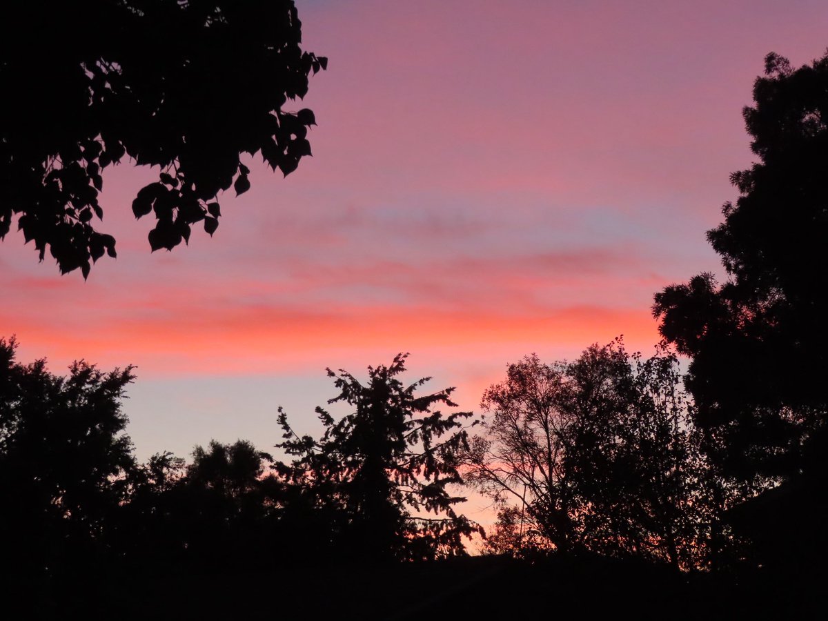 wapple15's tweet image. Good morning #Canberra 🌤️ #SureHappyItsThursday 😎