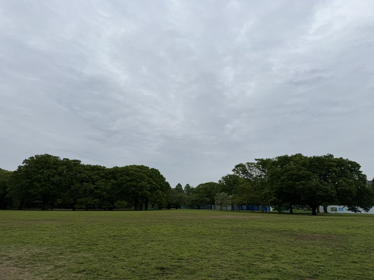 おはようございます