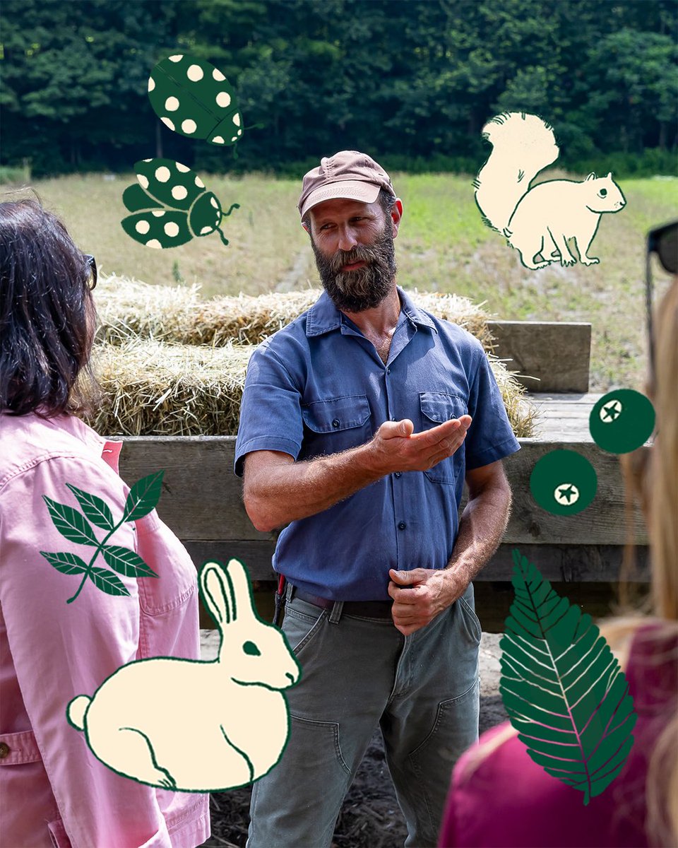 Lt. Governor Kim Driscoll tweet media