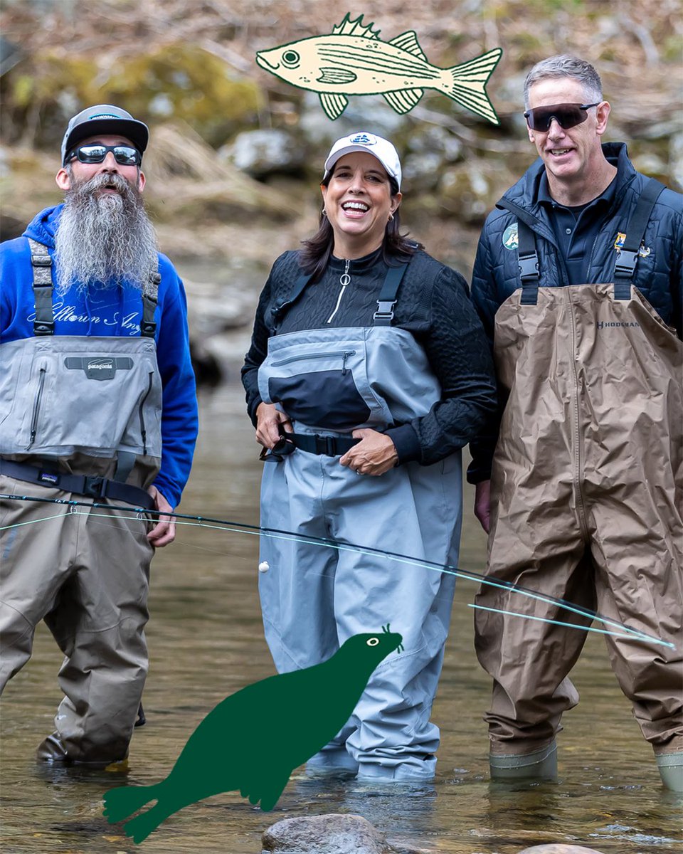 Lt. Governor Kim Driscoll tweet media