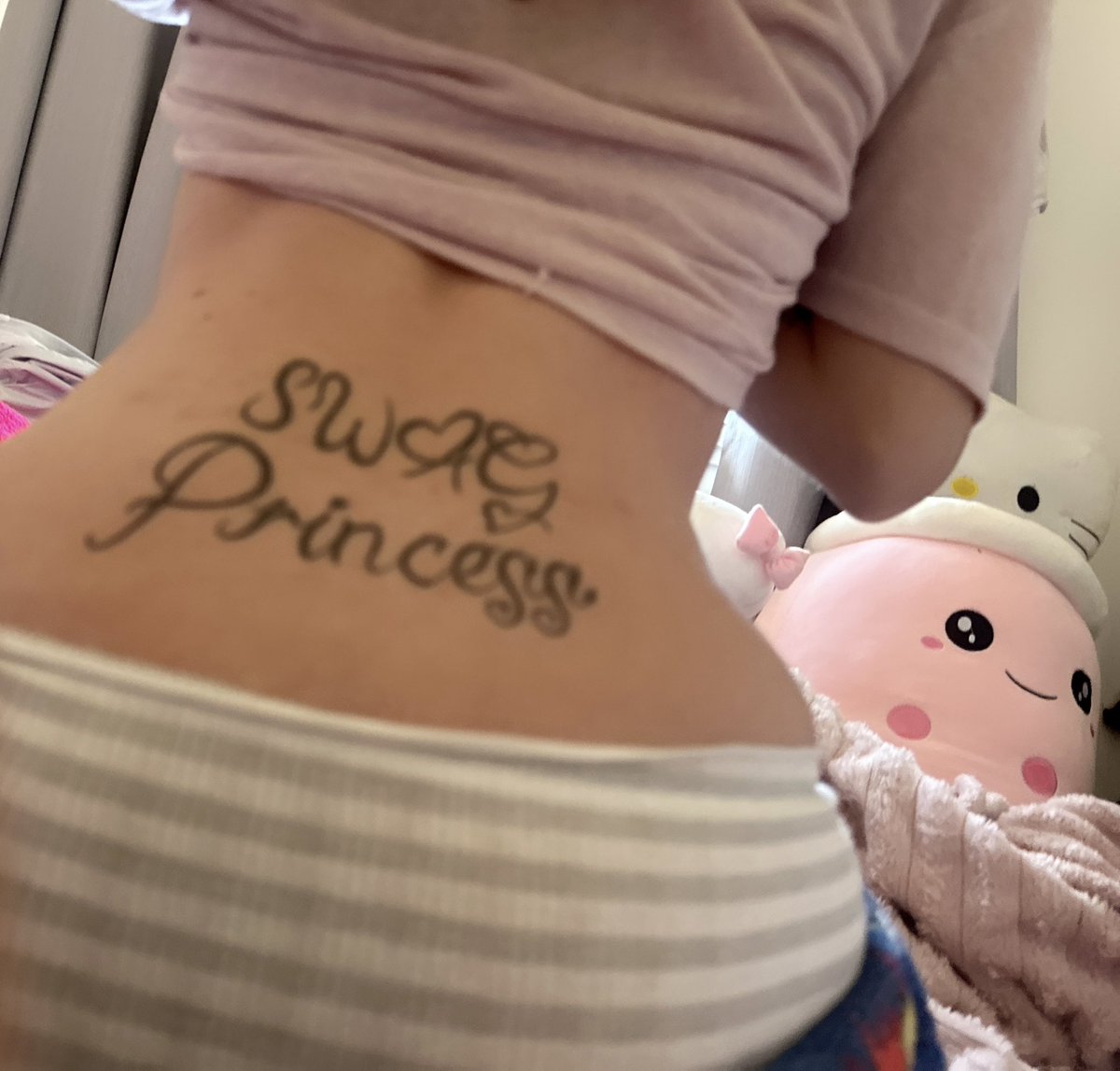 𐂯 ฅ(•˕ •マ⟆₊˚⊹ tweet media