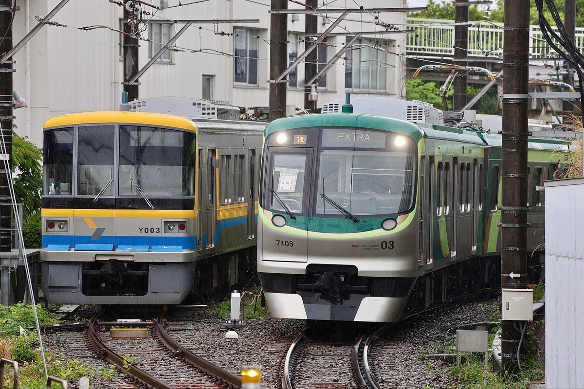 TransNana tweet media