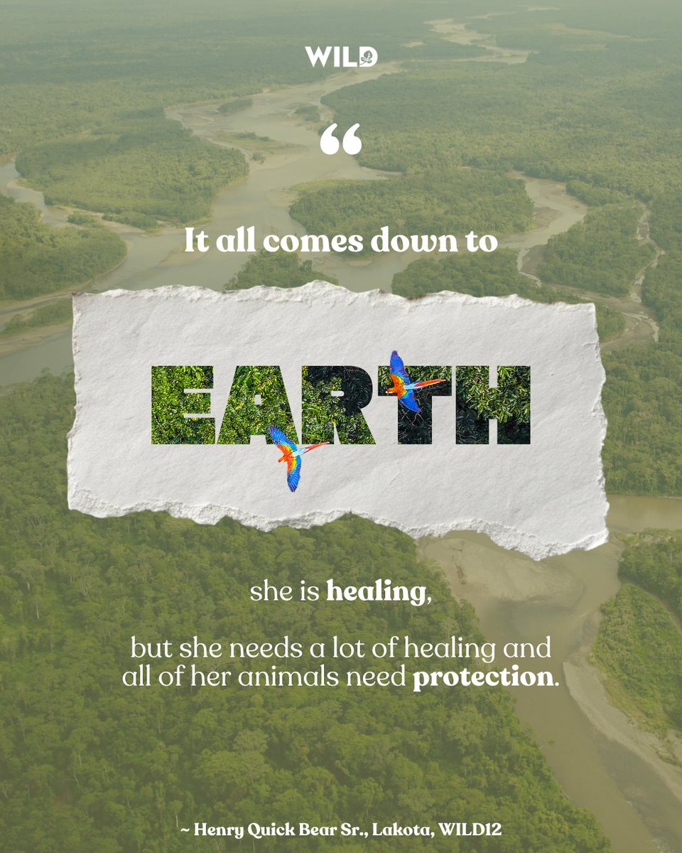 wildfoundation's tweet image. Healing takes time. Protection takes action. And the future depends on what we choose to do now. 🌎

Today, on #EarthDay, we’re reminded that caring for this planet isn’t passive, it’s a responsibility we all share. 
#NatureNeedsHalf #WILD #Conservation