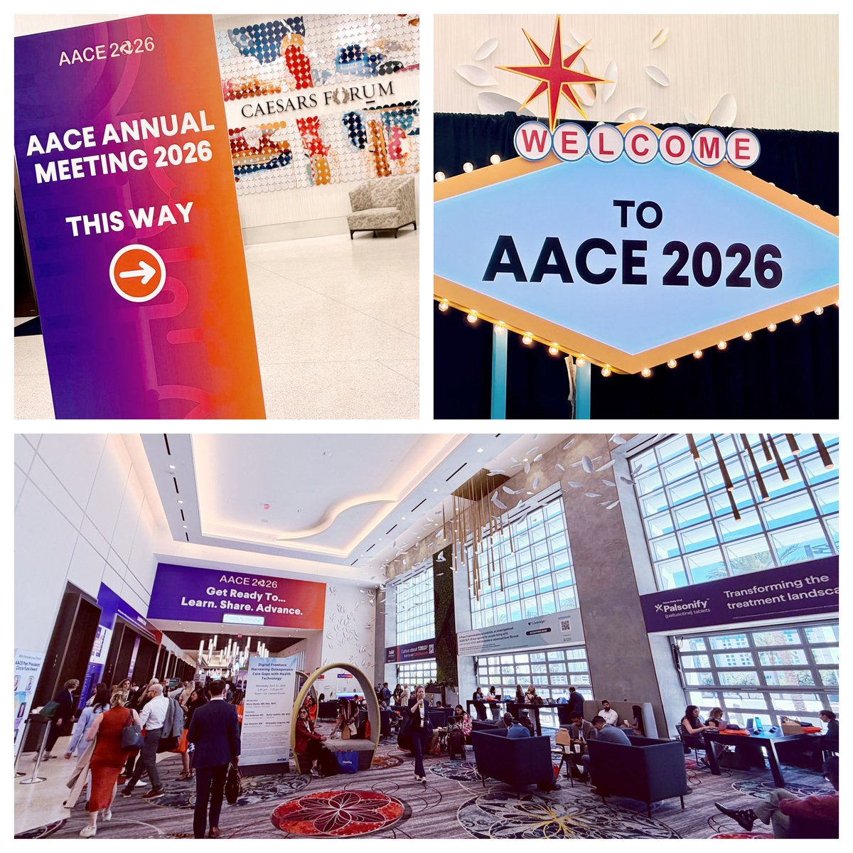 "#AACE2026" - Results on X | Live Posts & Updates