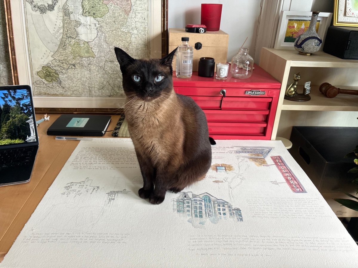 shani 🌱 (sf) tweet media