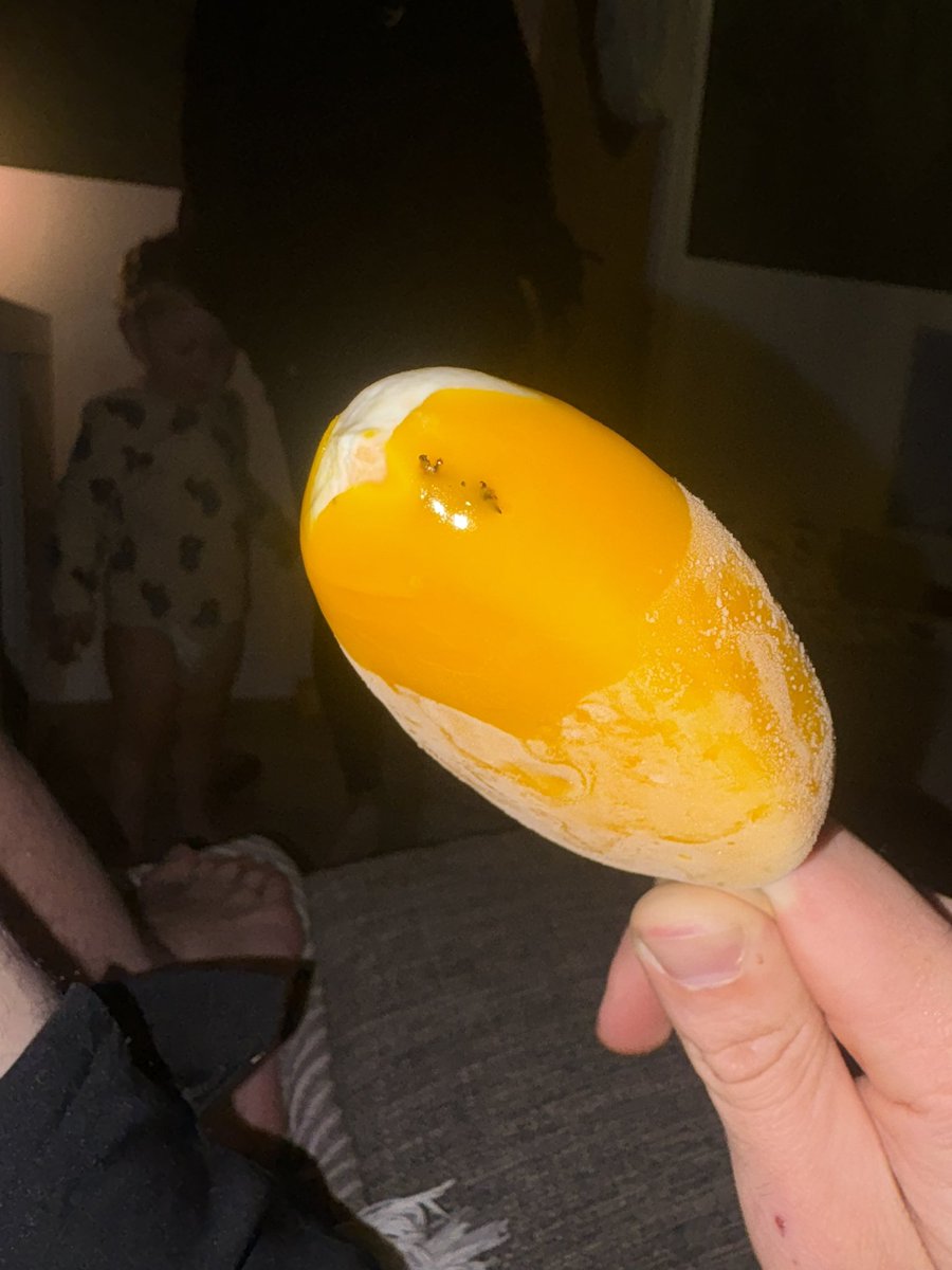 GraineyKate's tweet photo. Just started to eat my favourite ice cream lolly… and then BAM a spider in the lolly 😭😭😭 I am shooook and disgusted and I threw up @walls I have PTSD and can never enjoy one again https://t.co/zOho8n6Qhg