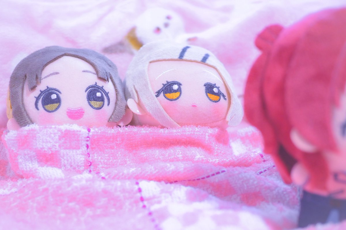 大葉しそ(ぬい活) tweet media