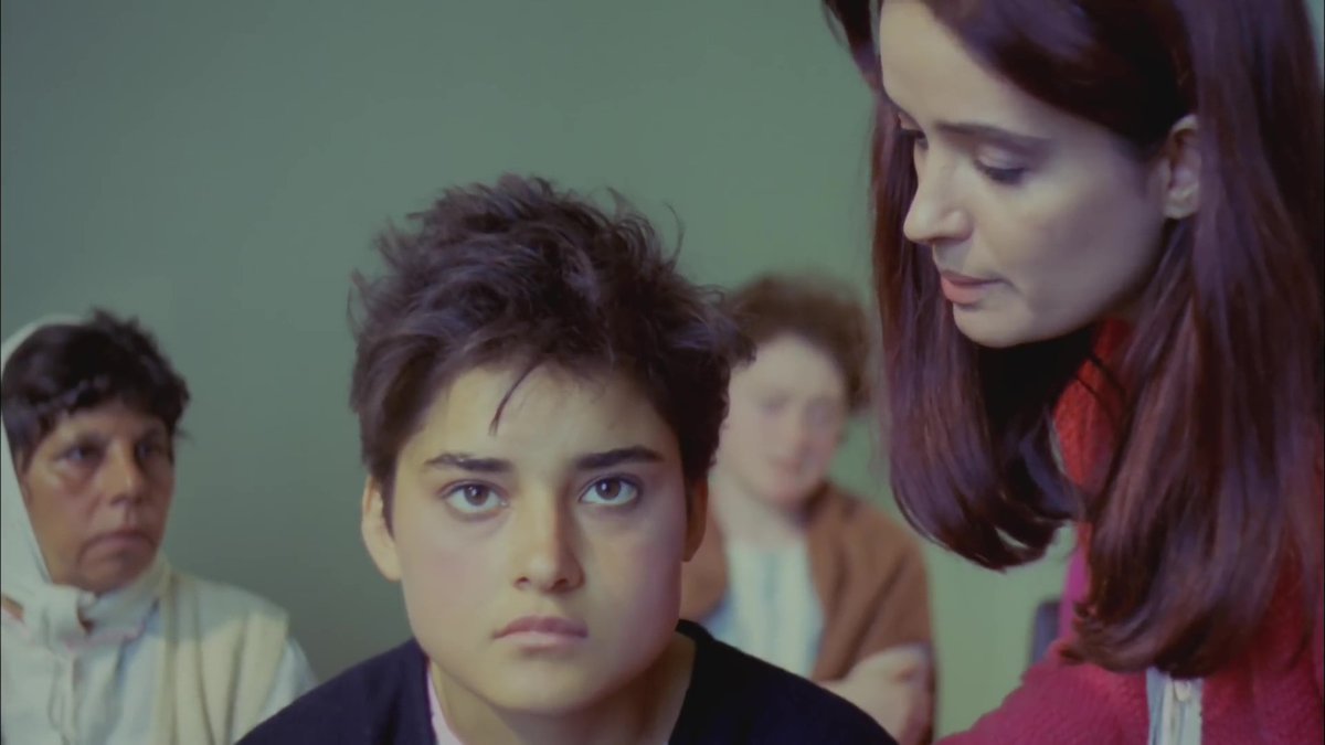 drive de alexandria tweet media