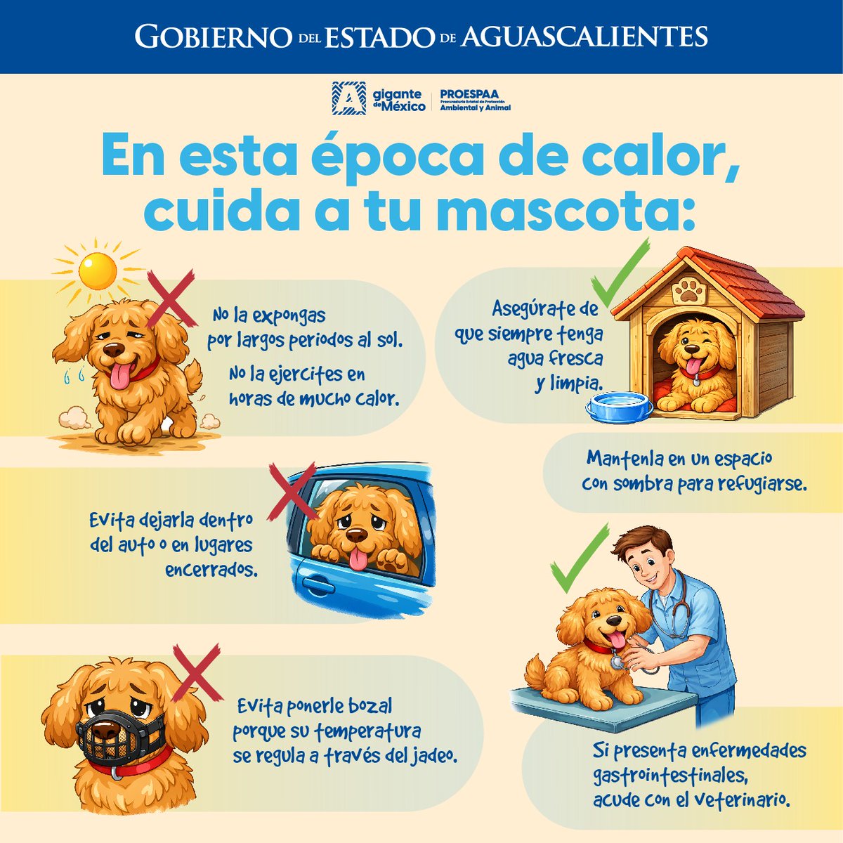 Info Aguascalientes tweet media