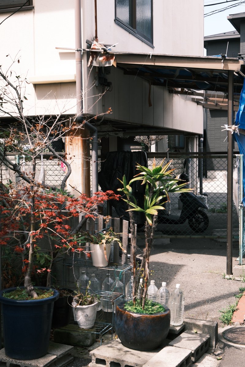 小林哲朗　写真家 tweet media