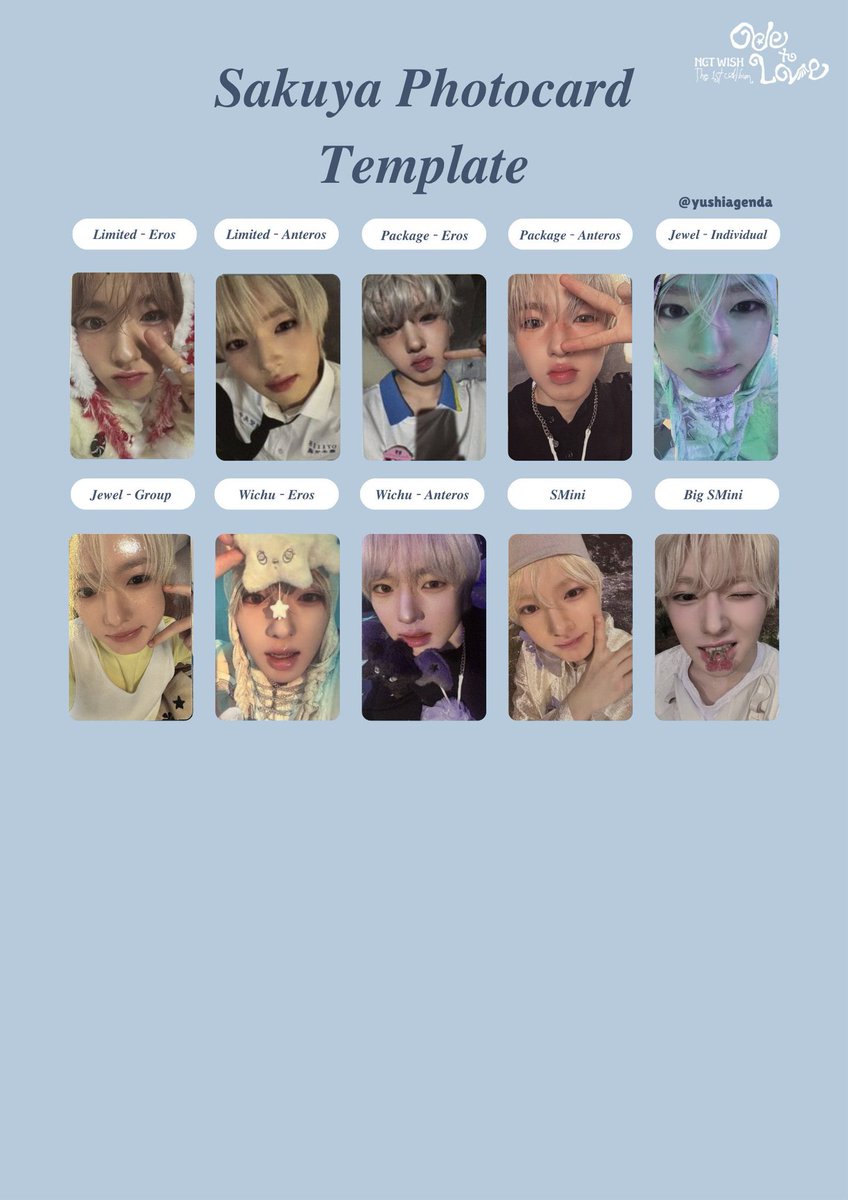 고슴도치 tweet media