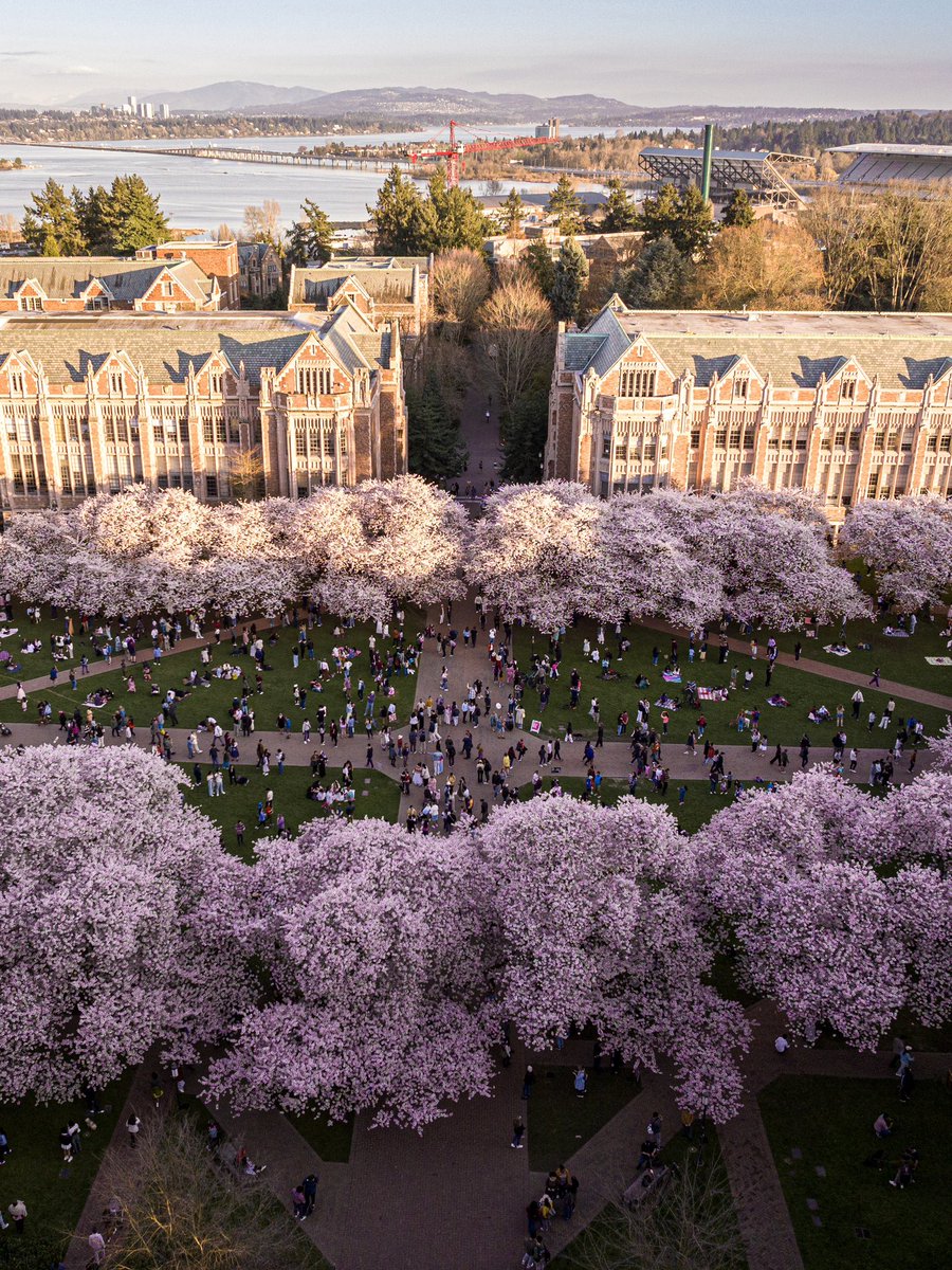 University of Washington tweet media