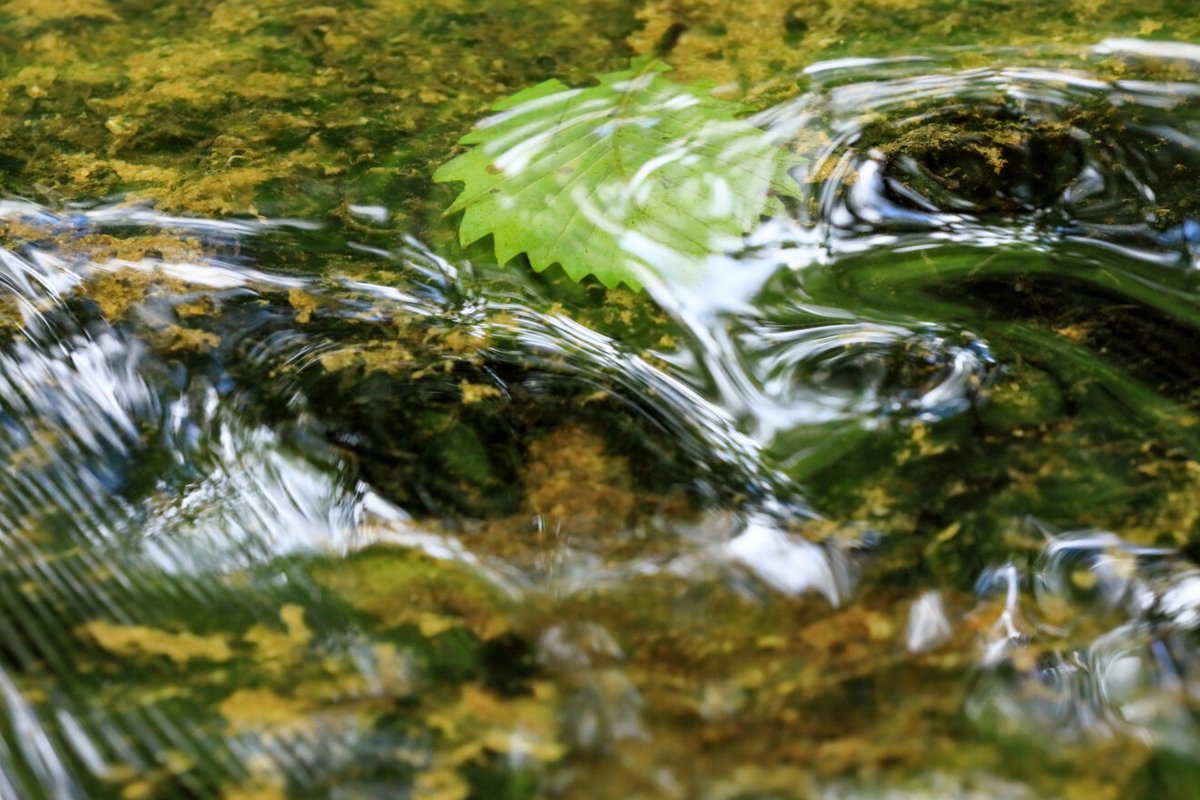 ChEnected's tweet image. Lead with the persistence of water to make lasting change bit.ly/4e2De7w #Leadership #ProfessionalDevelopment