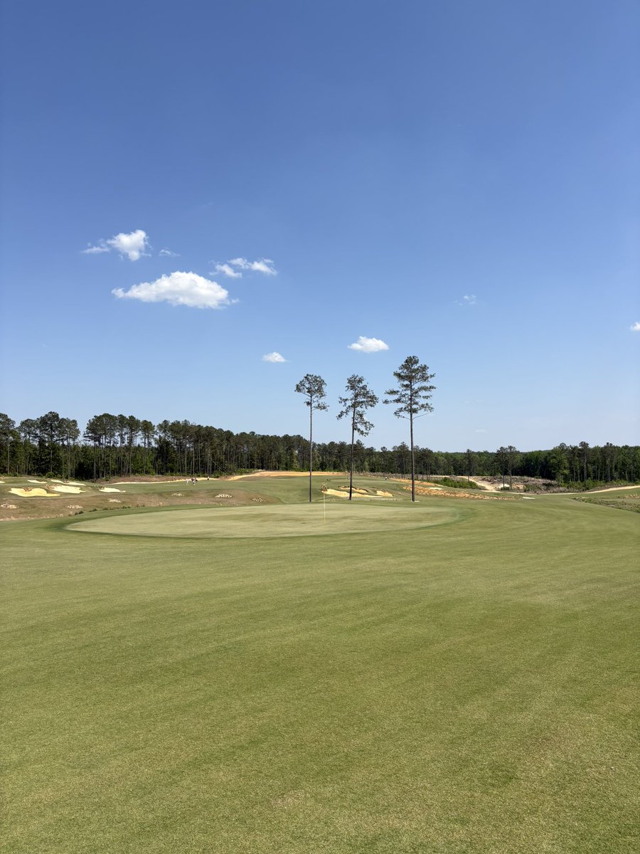 Swingin’ Tbone tweet media