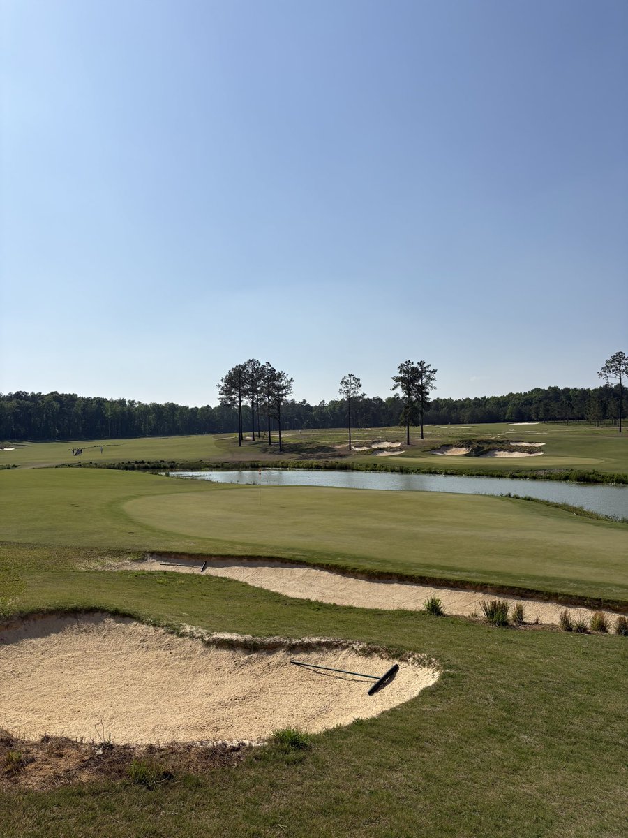 Swingin’ Tbone tweet media