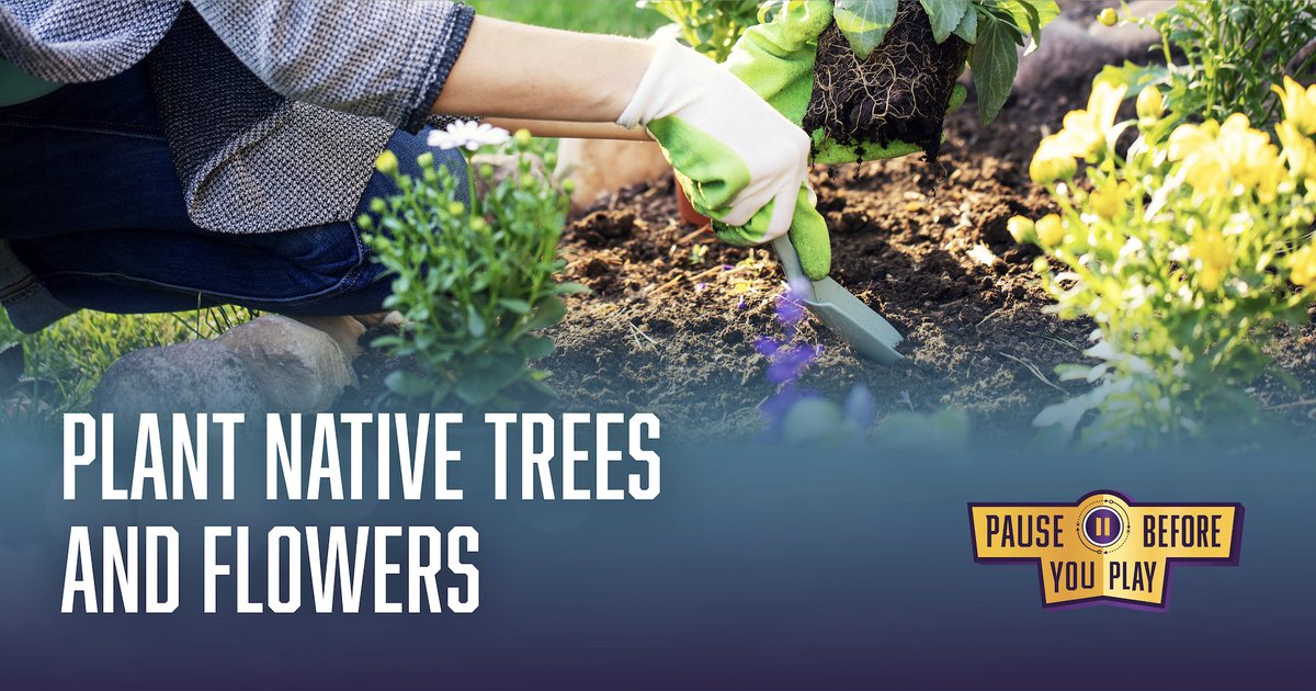 PBYP_OH's tweet image. Earth Day serves as a great reminder that supporting our planet also supports ourselves. Use this day as an excuse to #unplug from screens and step outside. Find an #EarthFriendly activity you enjoy and bring your family and friends with you to celebrate. Even the smallest seed