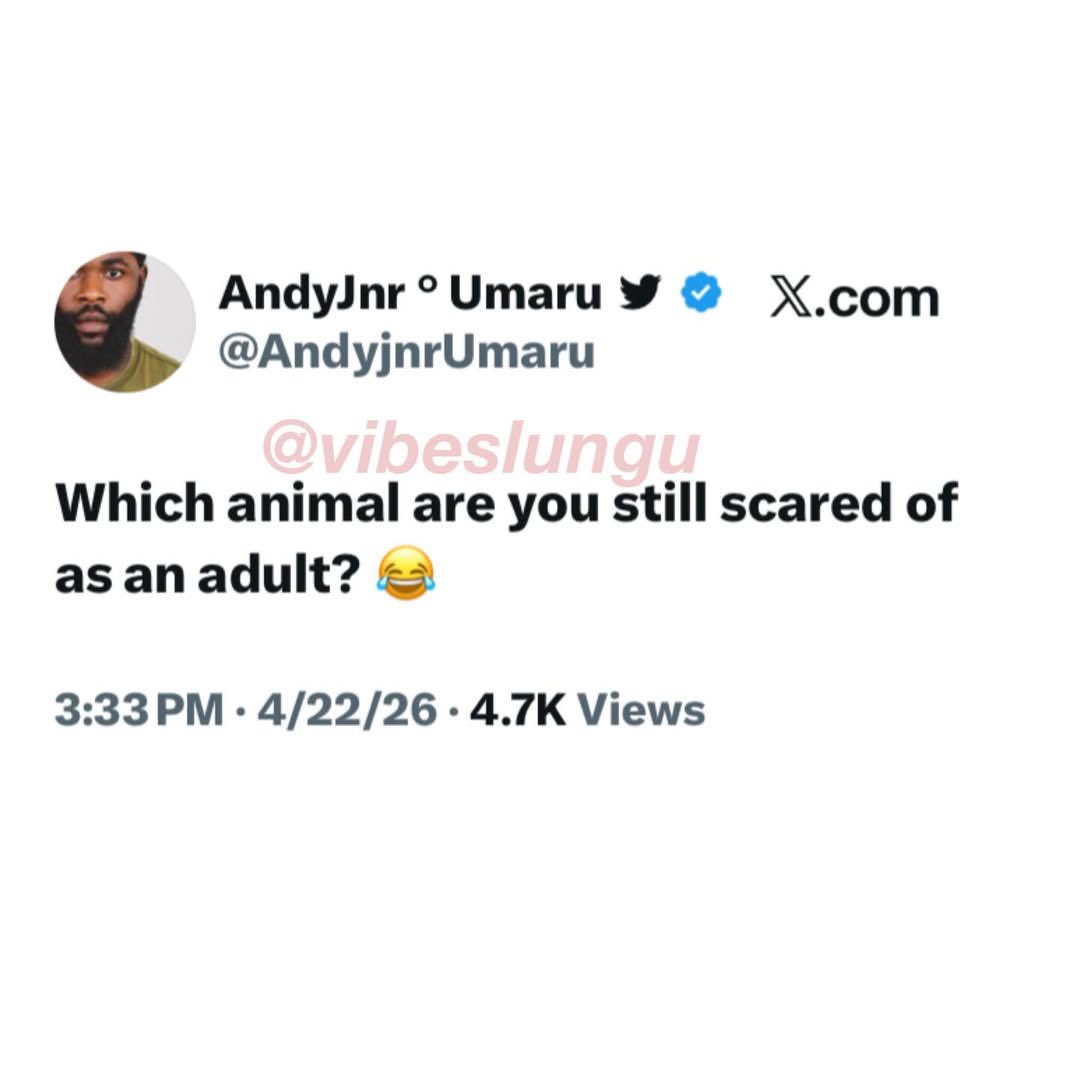 Instablog9ja tweet media