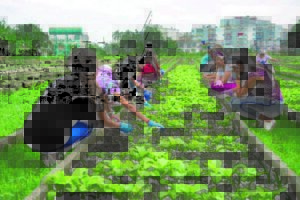 Con buen paso la Agricultura Urbana en Pinar del Río minag.gob.cu/noticias/25560… #AgriculturaCubana