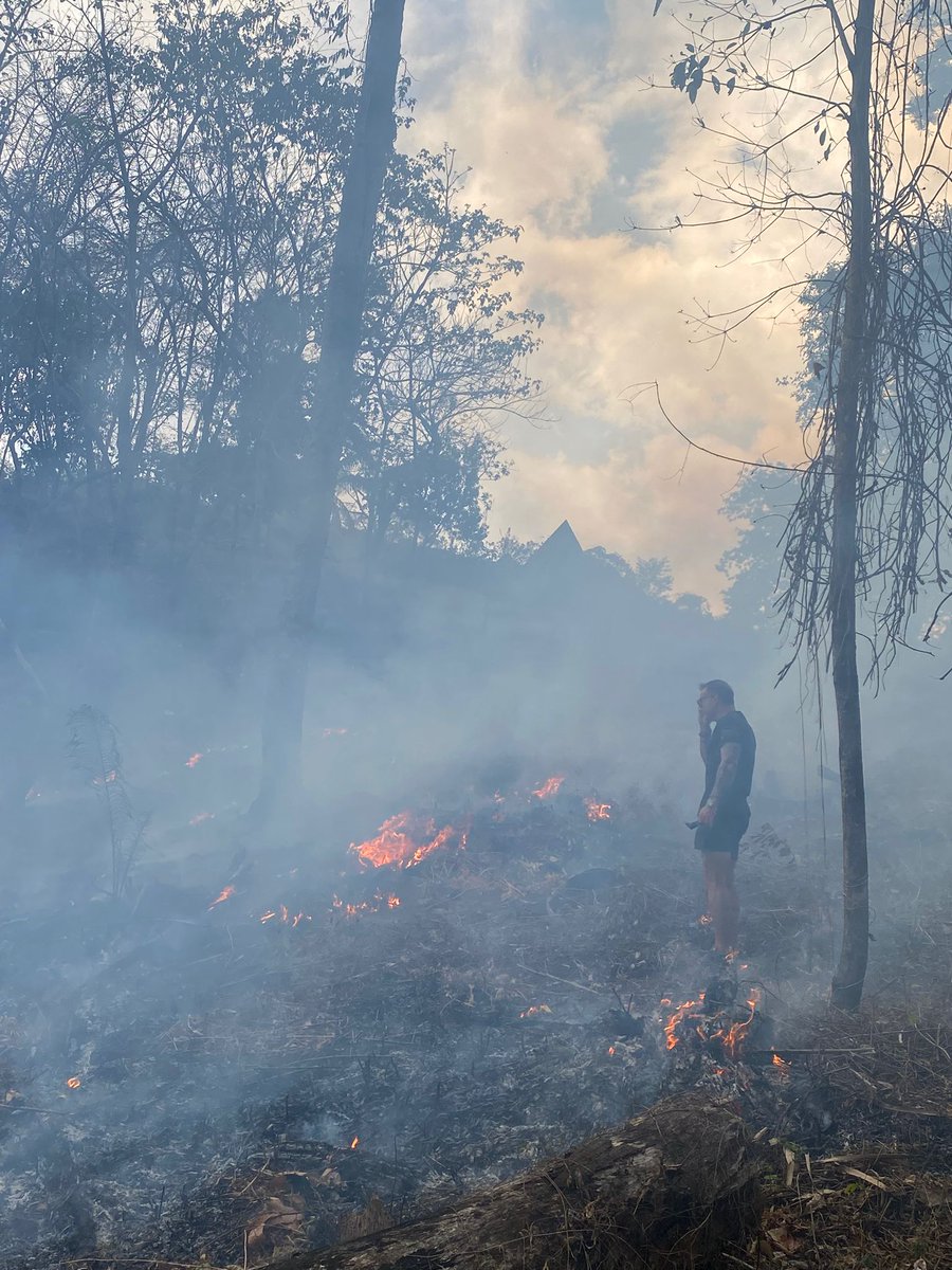 Fuck it....  burn it to the ground