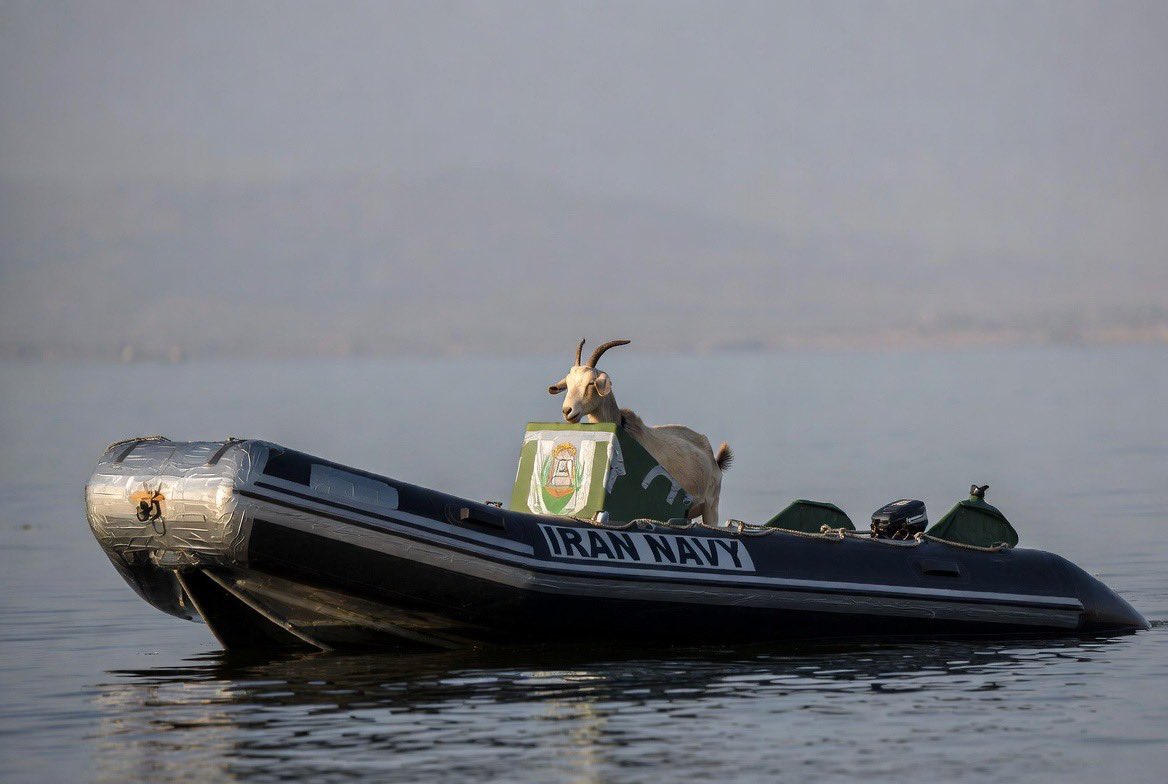 ¡QueGonorrea! ⚜ tweet media