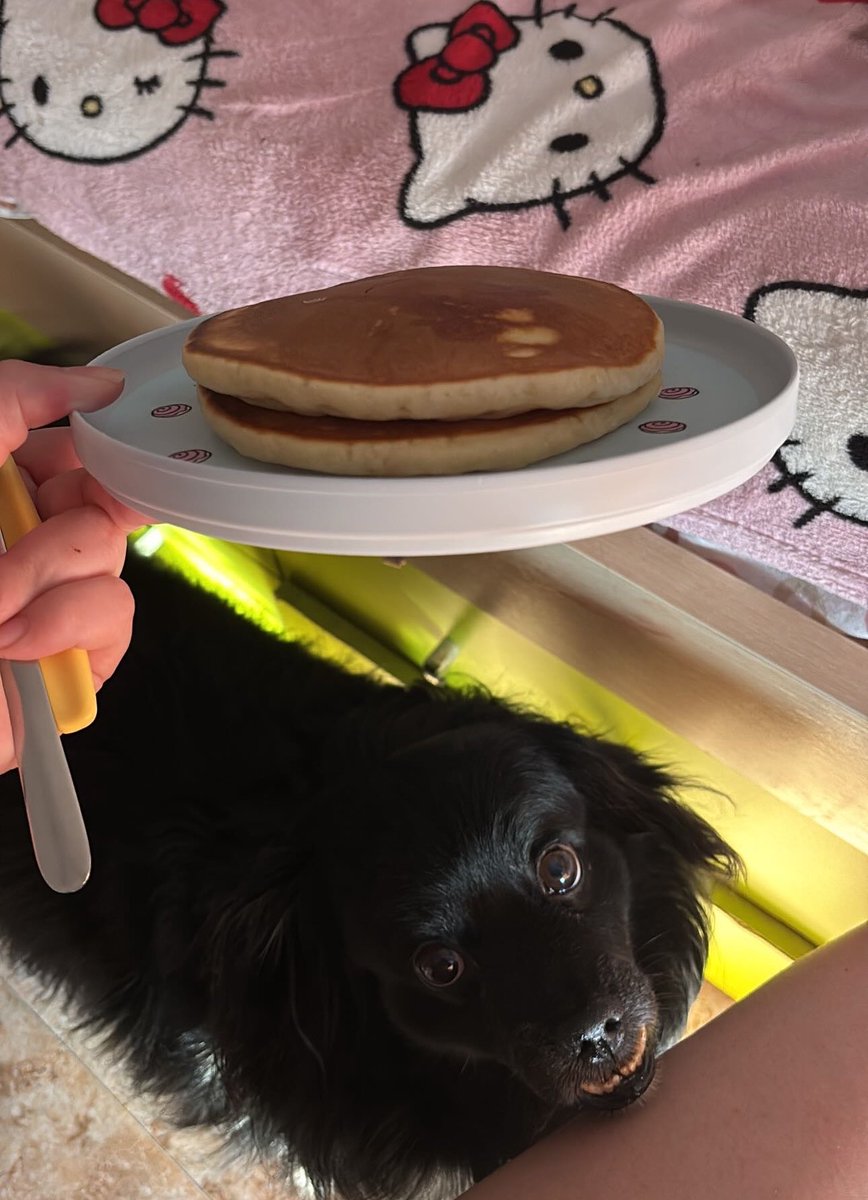 carmi 💓 | law student ⚖️ tweet media