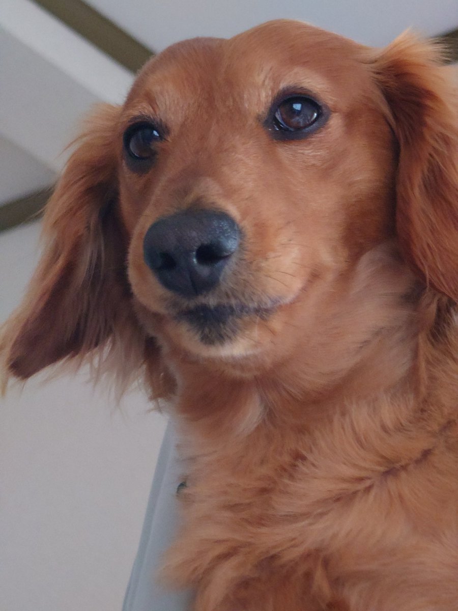 ラッキー tweet media