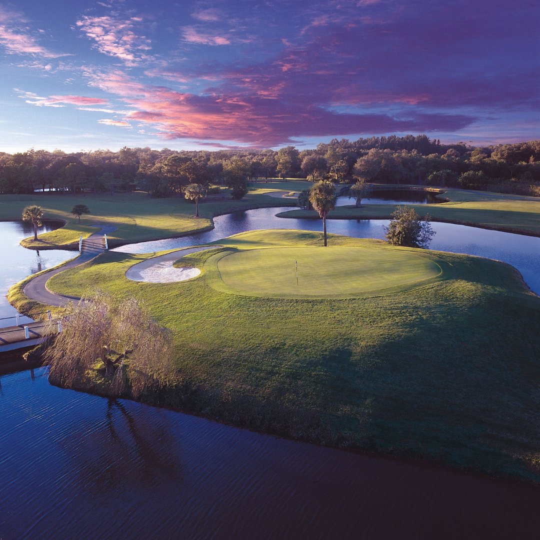 Innisbrook Resort tweet media