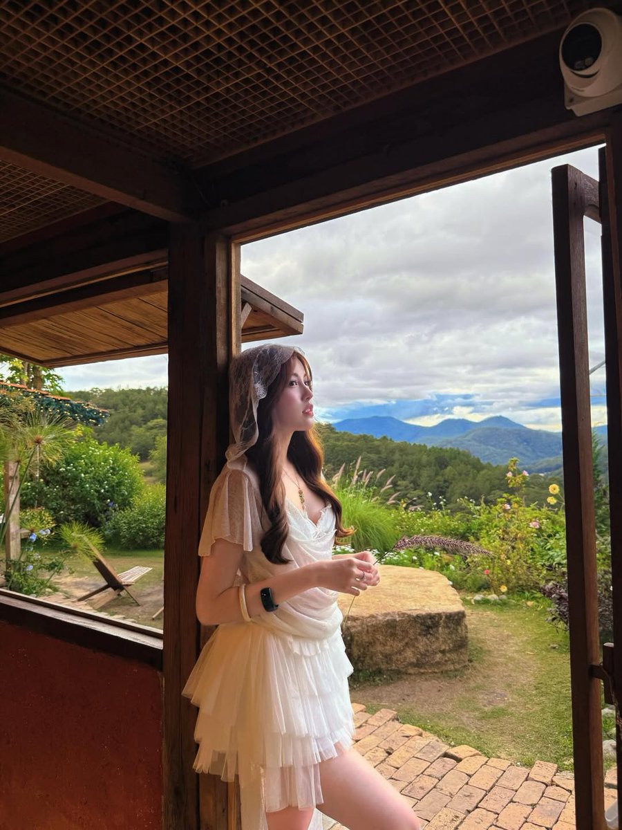 Ana Maria tweet media