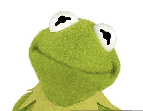 Kaki Shel tweet media