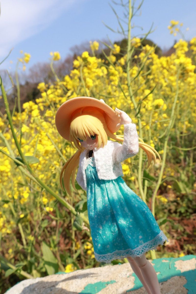 しょちょー tweet media