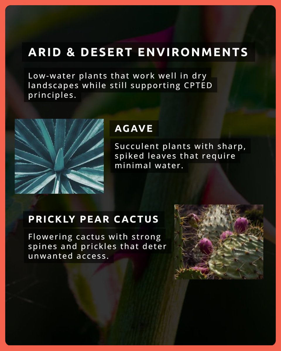 ASIS_Intl's tweet image. #Security and #sustainability can grow side by side.
See how plants can support #CPTED design this #EarthDay. 🌱

More insights like this are available to #ASIS members year-round.
bit.ly/3MPktZD