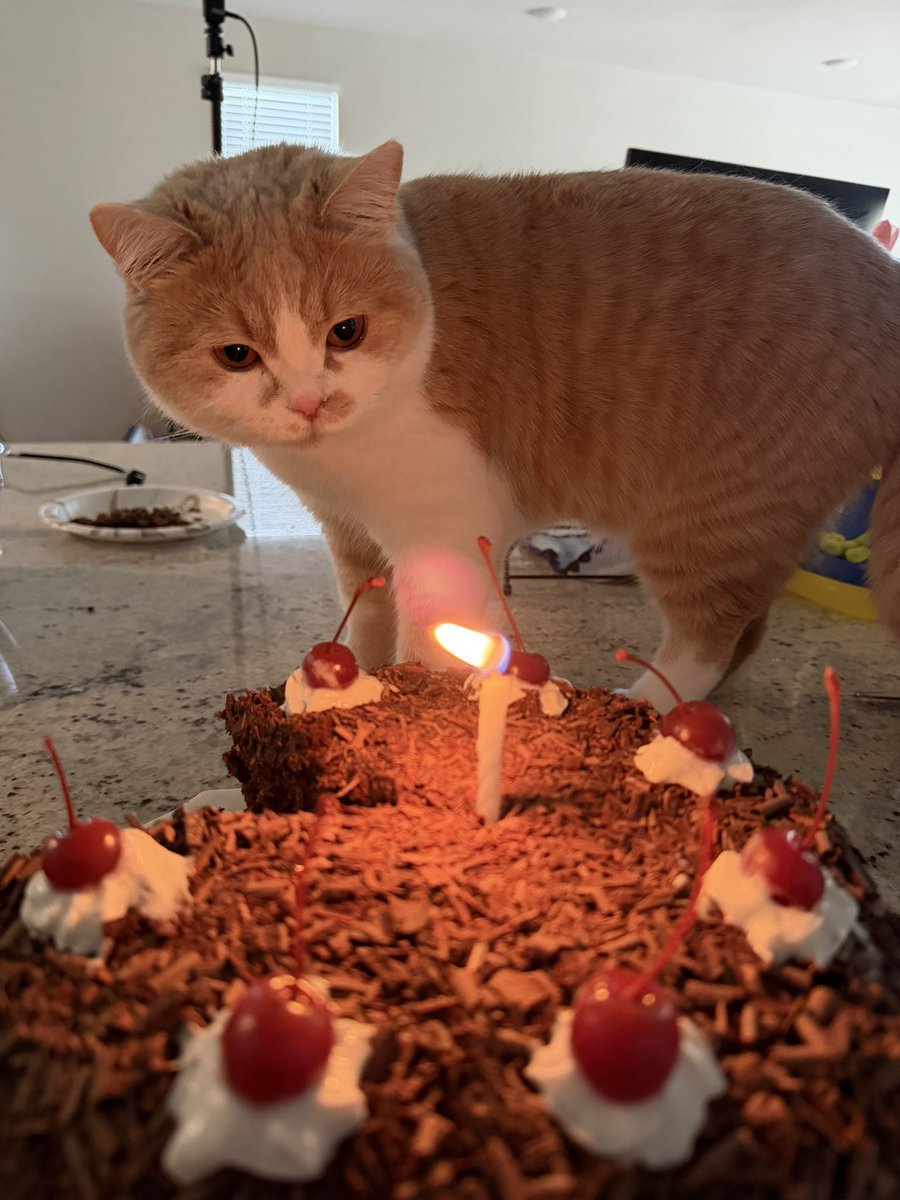 Rainhoe 😈 tweet media