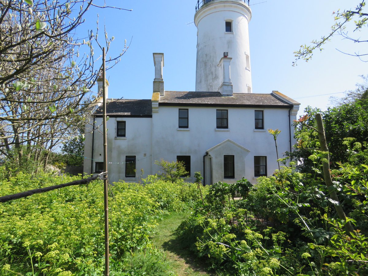 Steven Falk tweet media