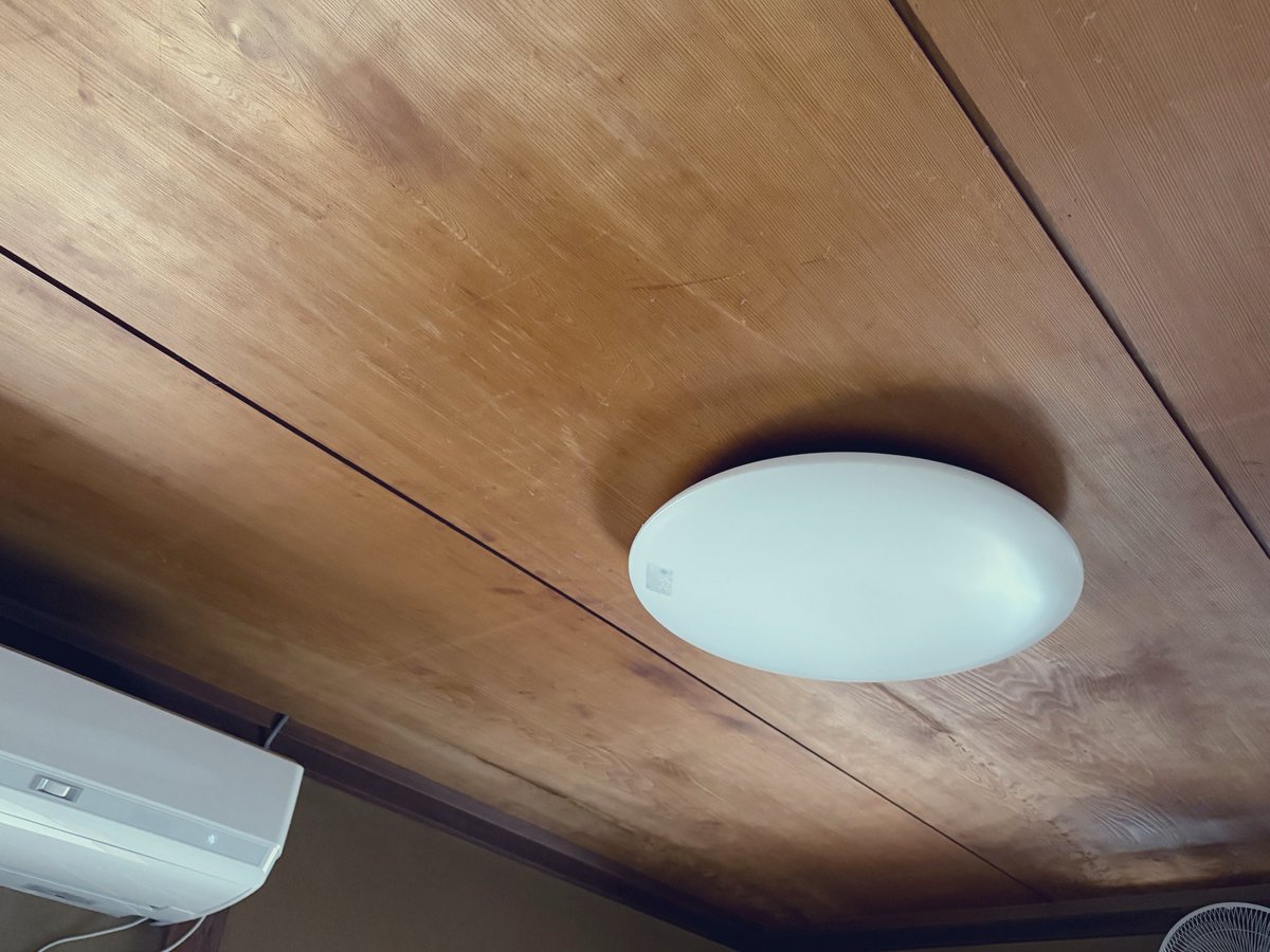 もちたま|たまの3姉妹とゆるく生きる tweet media