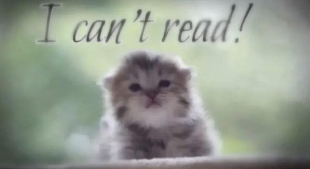 LiterallyMeCats (@literallymecats) on Twitter photo 