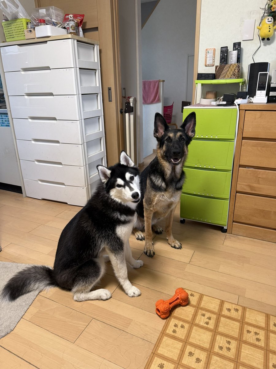 maki☆laponsipon tweet media